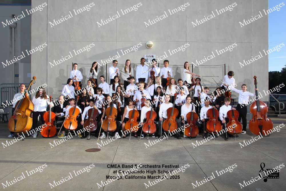 Musical Images